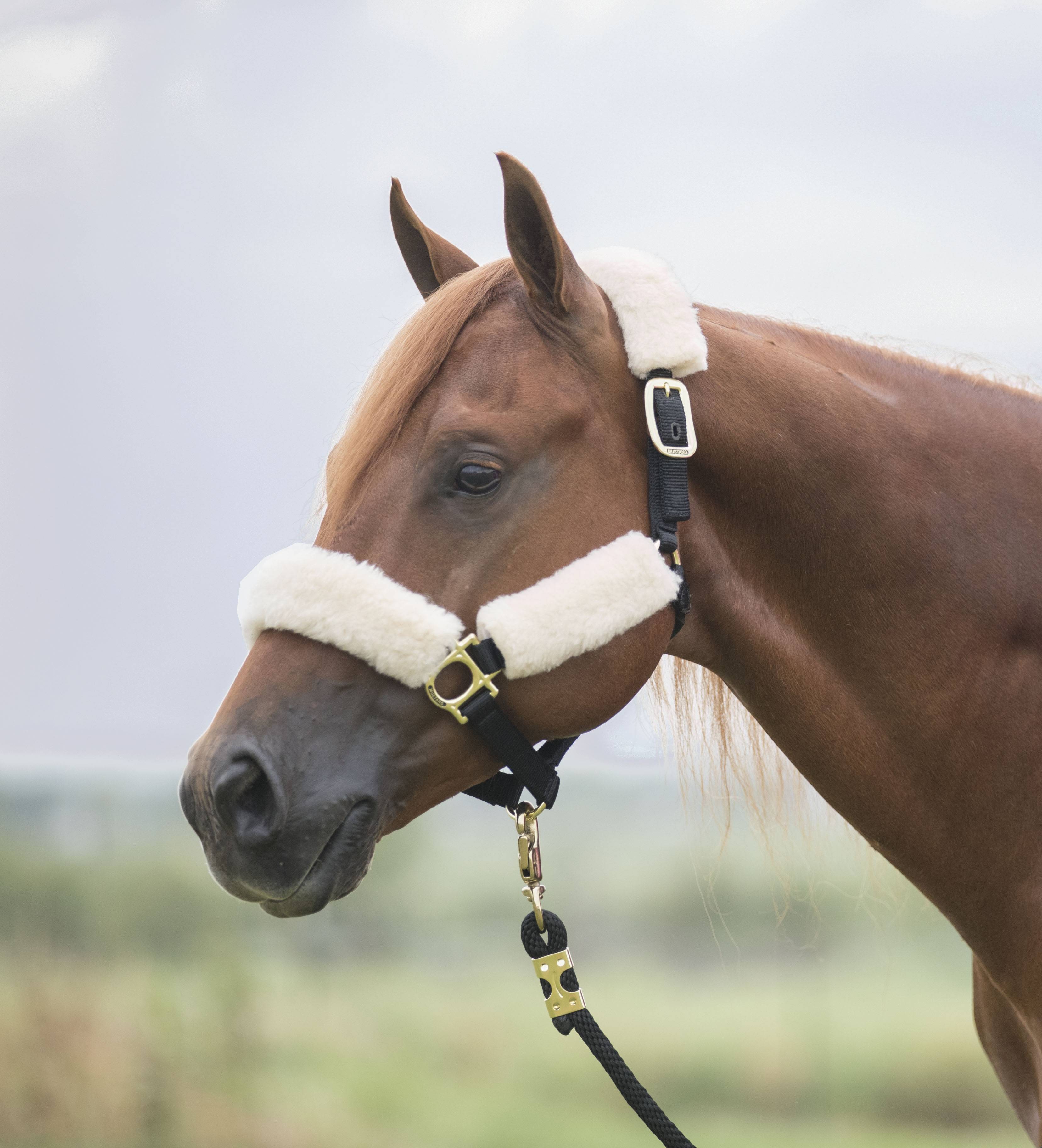 Mustang Comfort Fleece Halter Cover Set (4 pieces)
