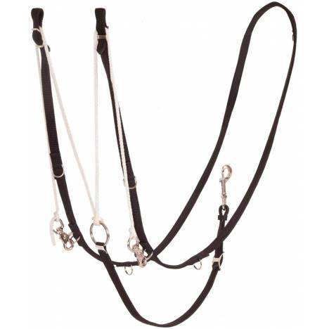 Mustang German Martingale