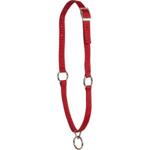 Mustang Neck Collar with Nickel Plated Buckle and Ring