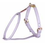 Shires Dog Harnesses