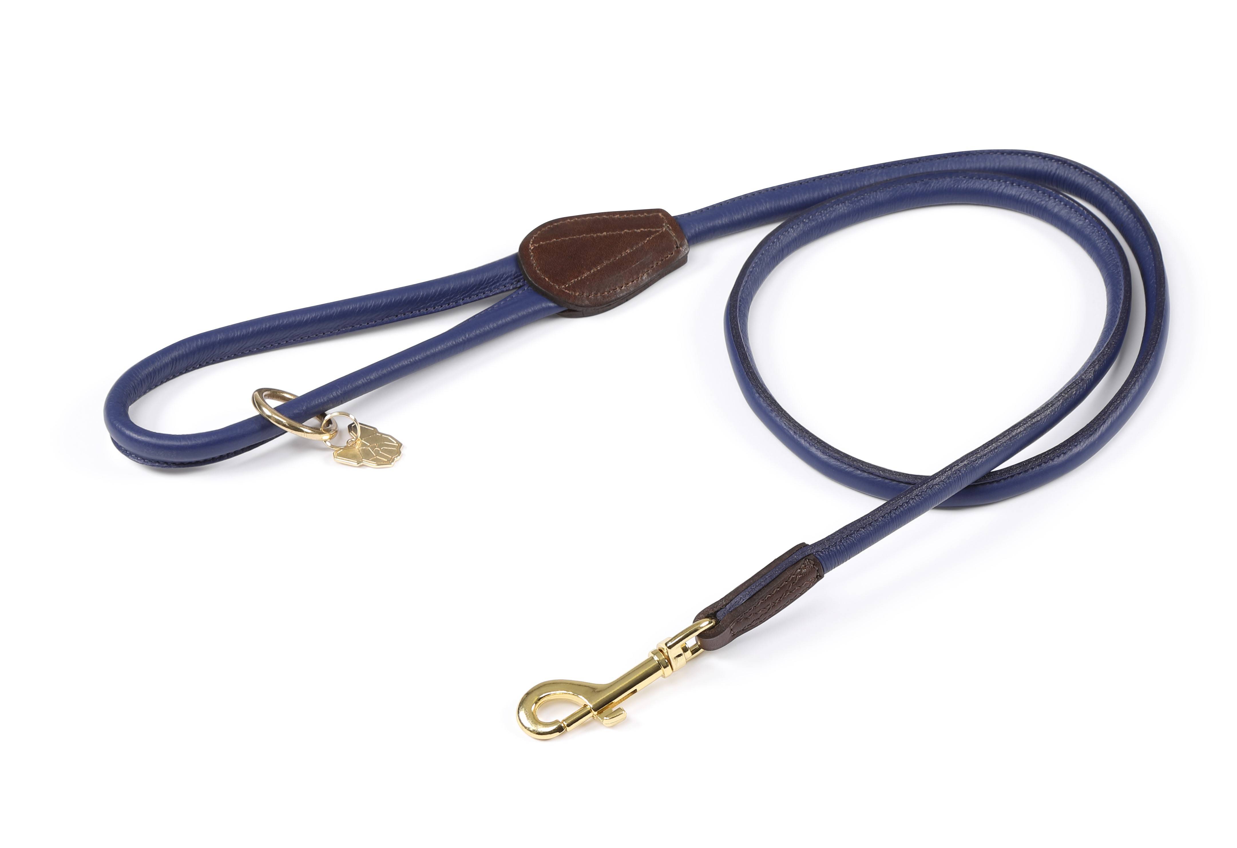 Shires Digby & Fox Rolled Leather Dog Lead | HorseLoverZ