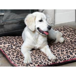 Shires Digby & Fox Waterproof Dog Bed