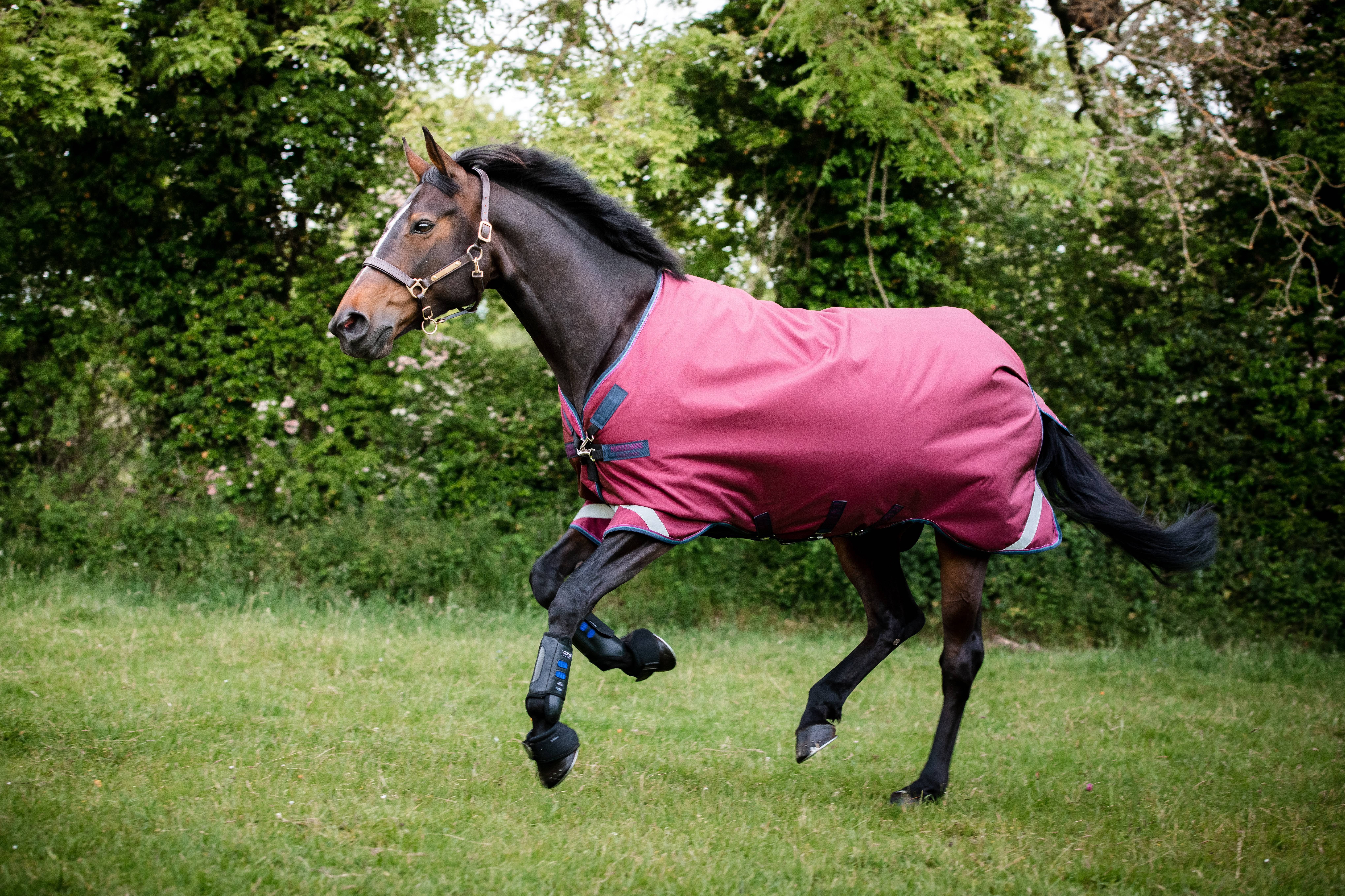 Rambo Original Turnout with Leg Arches (0g Lite)