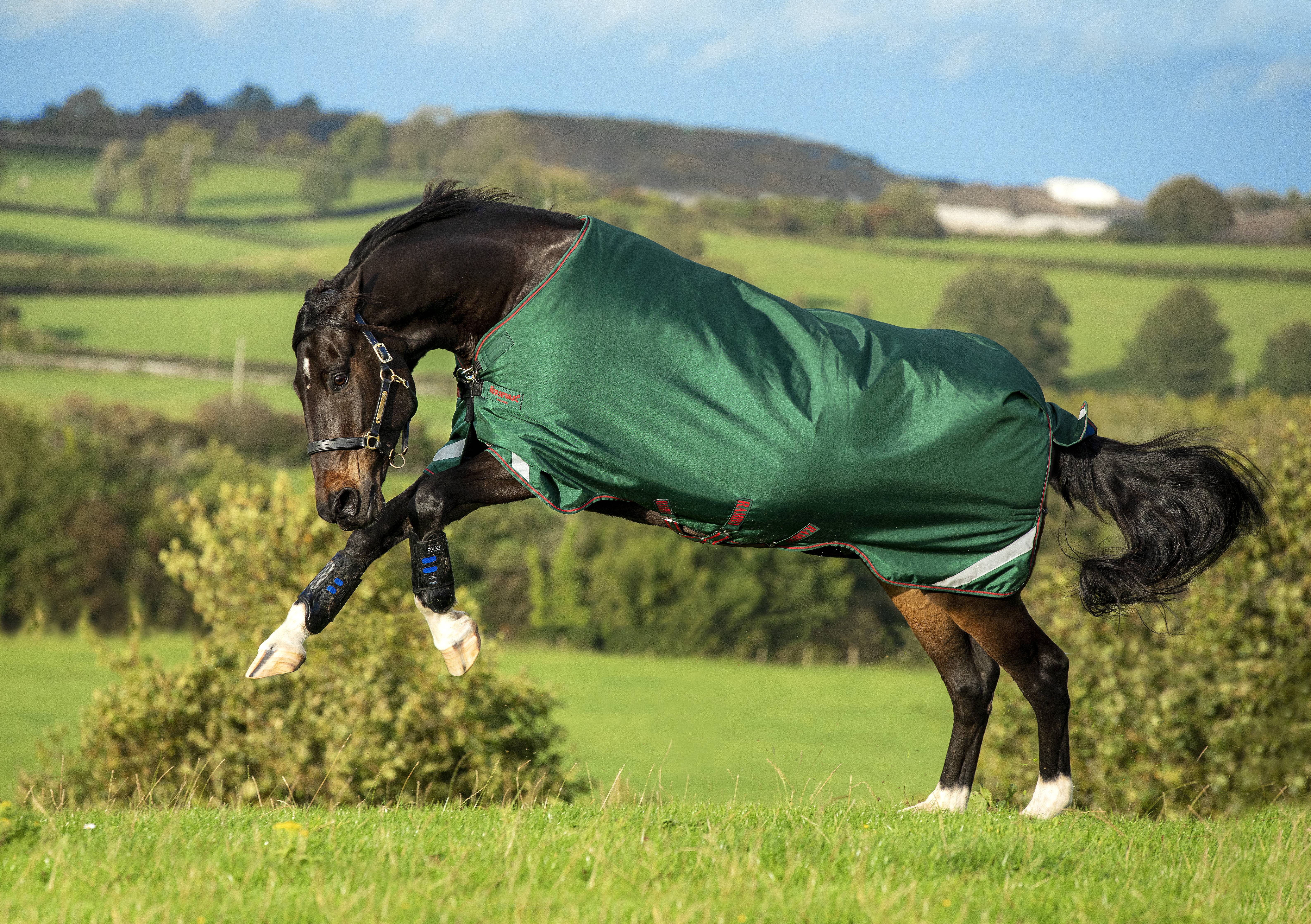 Rambo Original Turnout with Leg Arches (100g Lite)