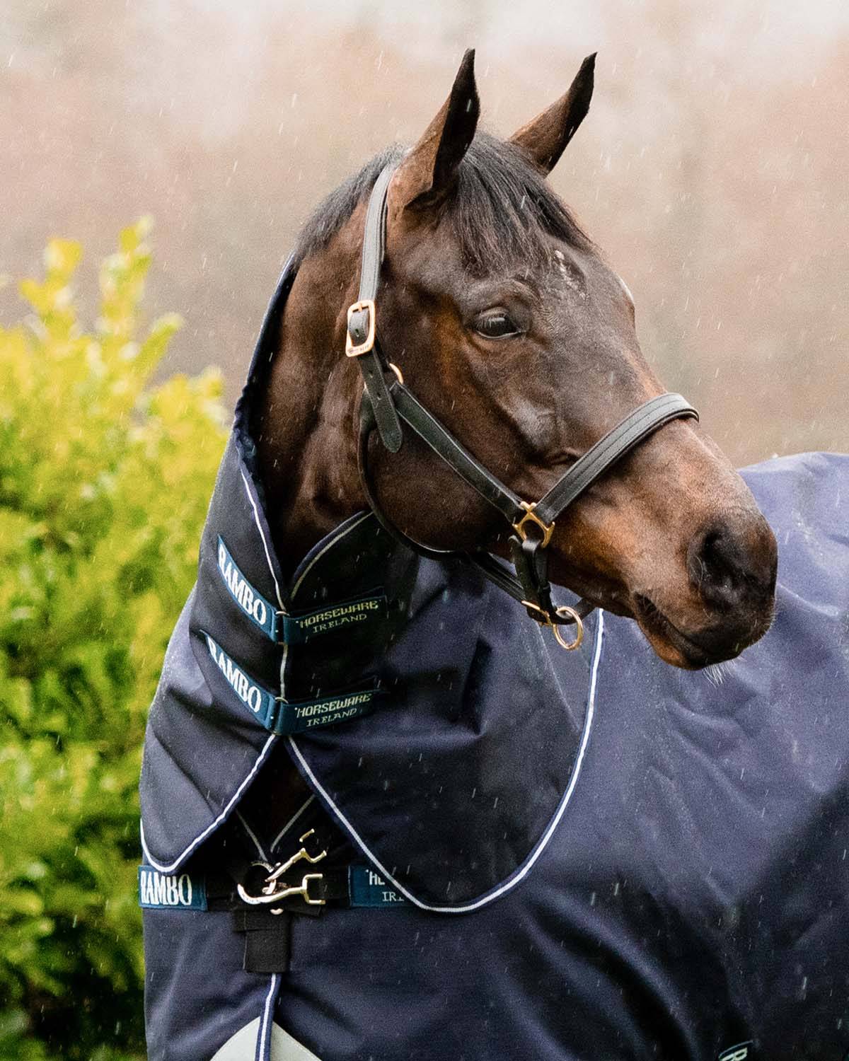 Rambo Duo Ripstop Hood