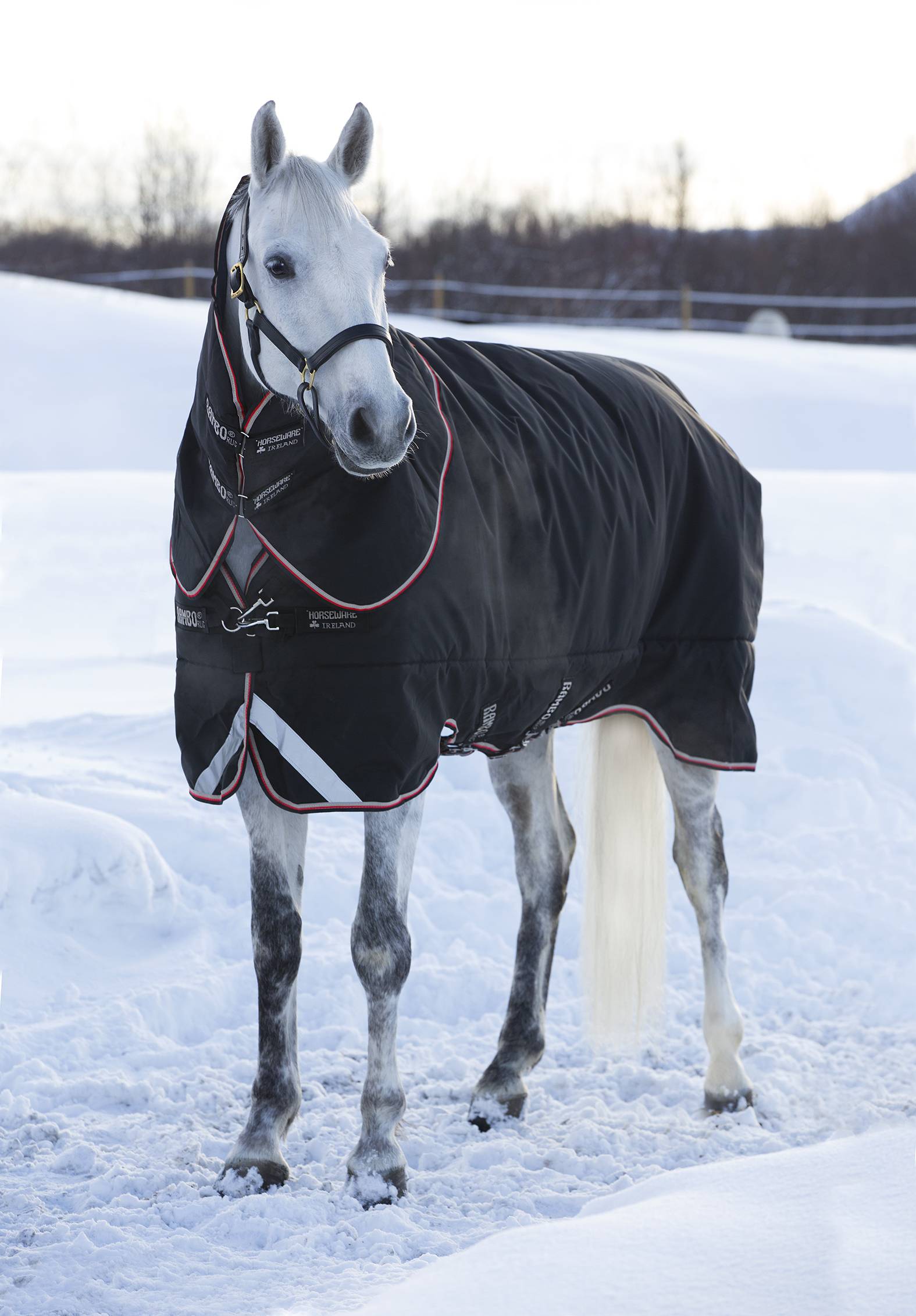 Rambo Supreme Turnout (420g Heavy)