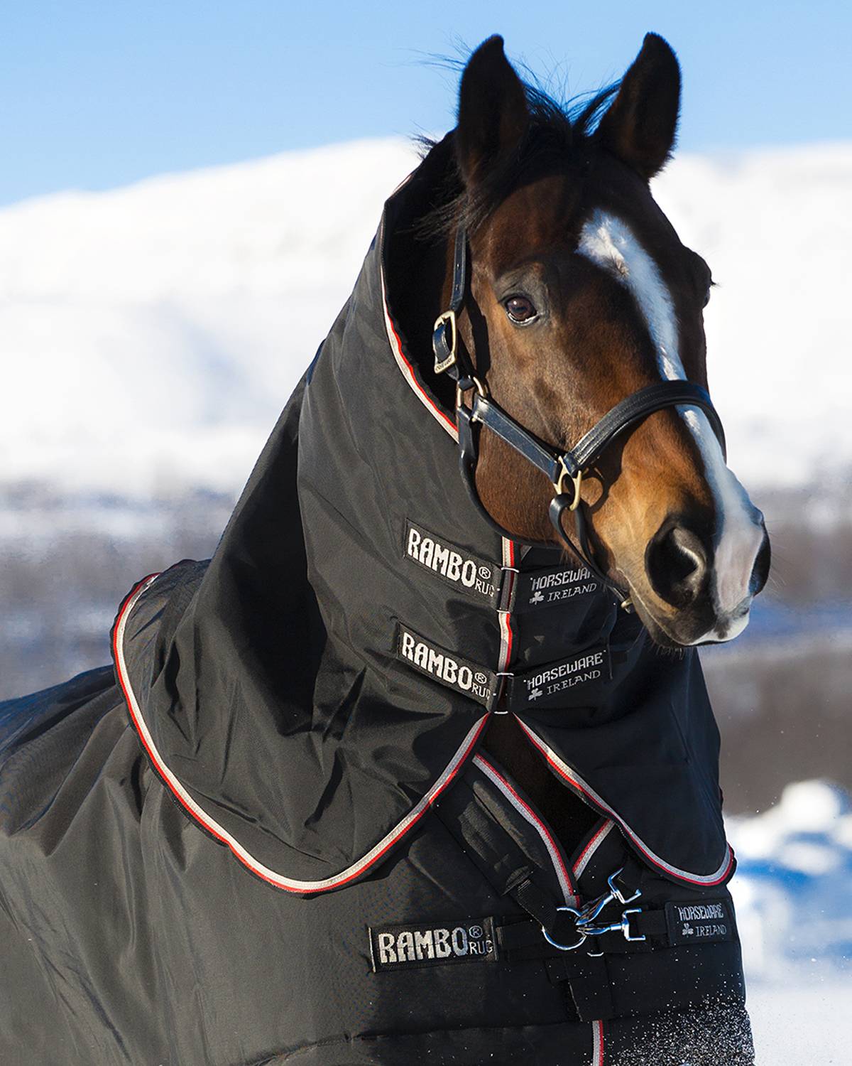 Rambo Supreme 1680D Hood (150g Lite)