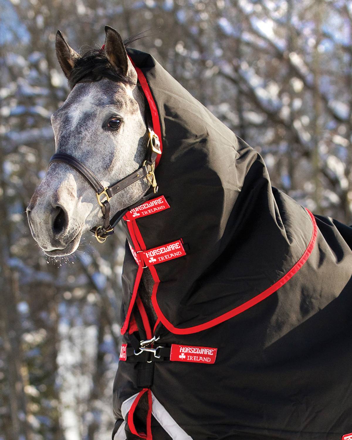 Rambo Supreme Hood (250g Medium)