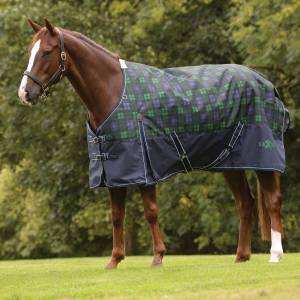 Saxon 1200D With Gusset Standard Neck Heavy Weight II Turnout Blanket