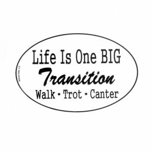 Euro Big Transition Walk Trot Canter Vinyl Stickers - Set Of 3
