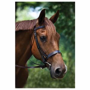 Traditional Leather Hunt Bridle