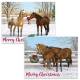 Snowy Pasture Boxed Christmas Cards