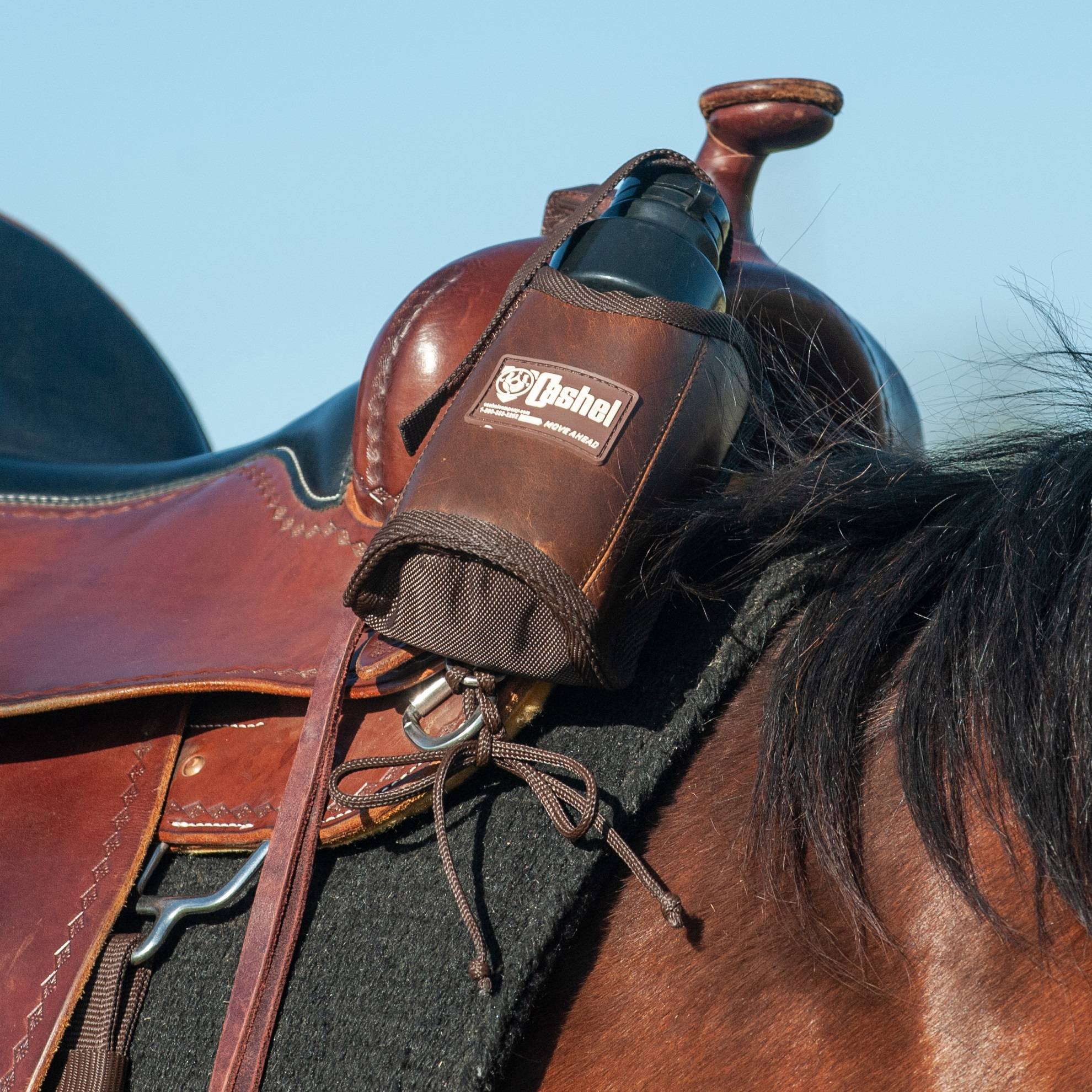 Water bottle holder for horse online saddle