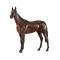 Breyer Winx Famous Austrailian Race Horse