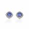 Kelly Herd Blue with Clear Accents Earrings