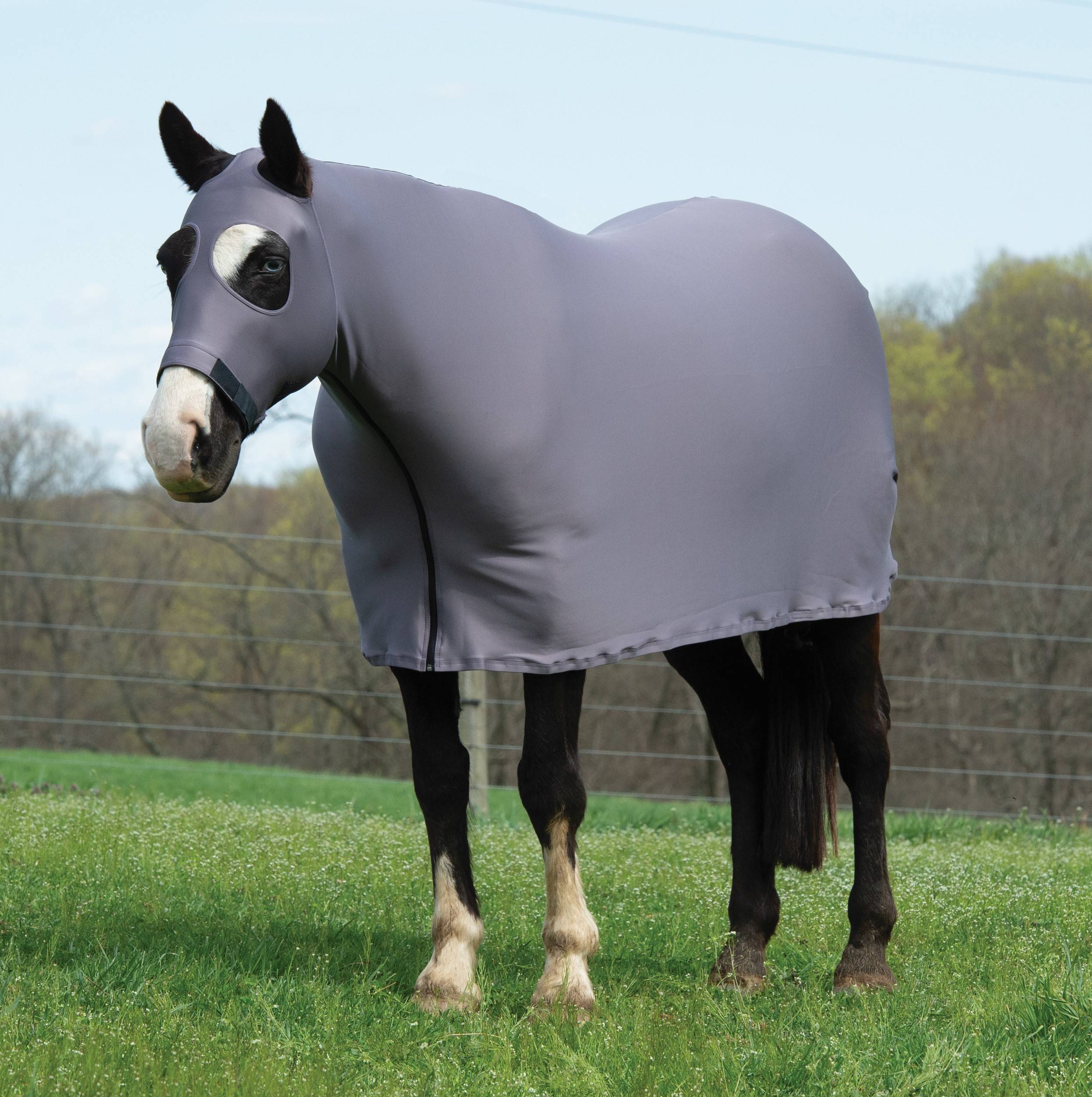 Weaver CoolAid Equine Lycra Sheet