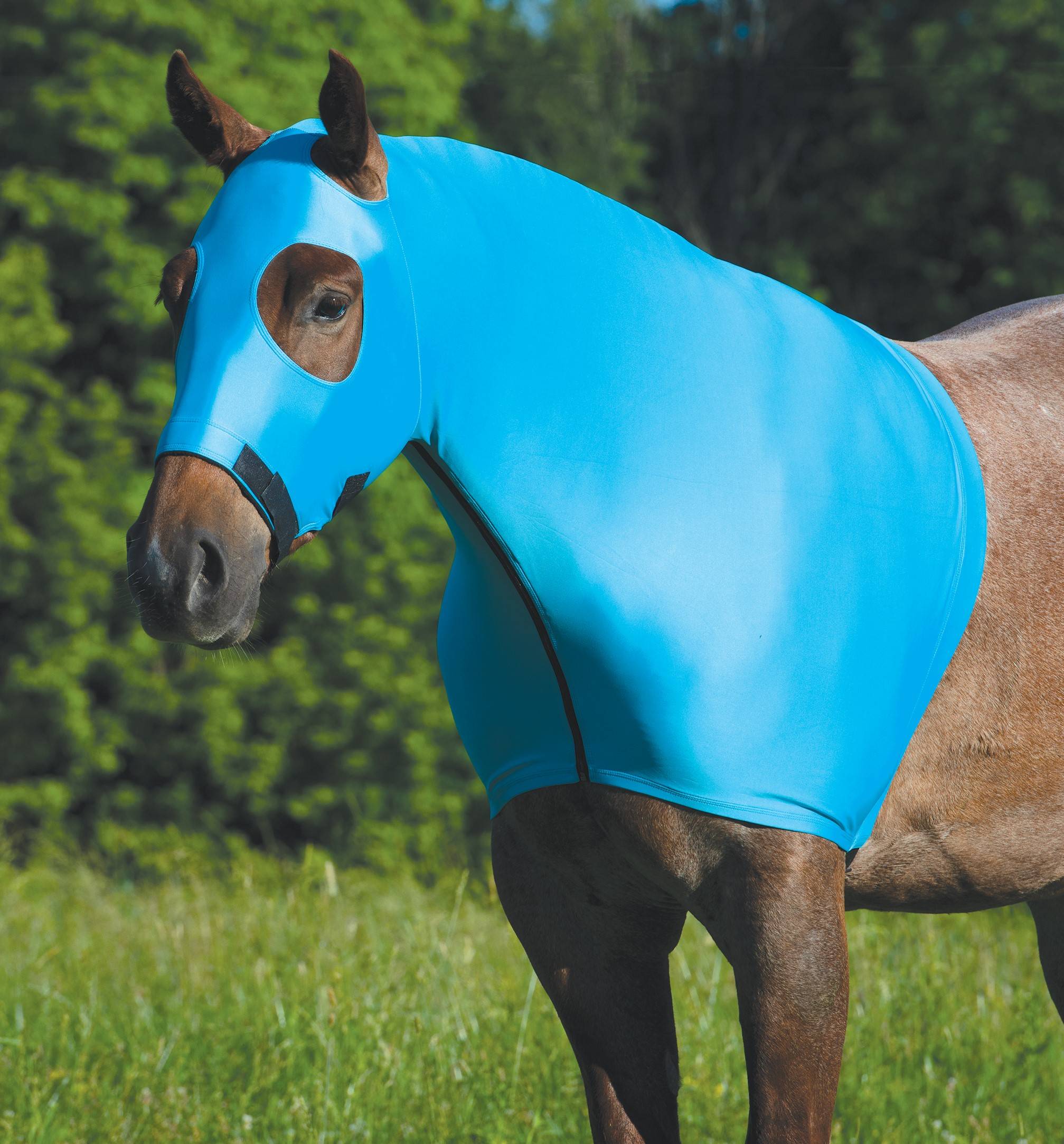 Weaver CoolAid Equine Lycra Hood