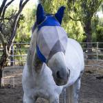 Majyk Equipe Masks & Veils