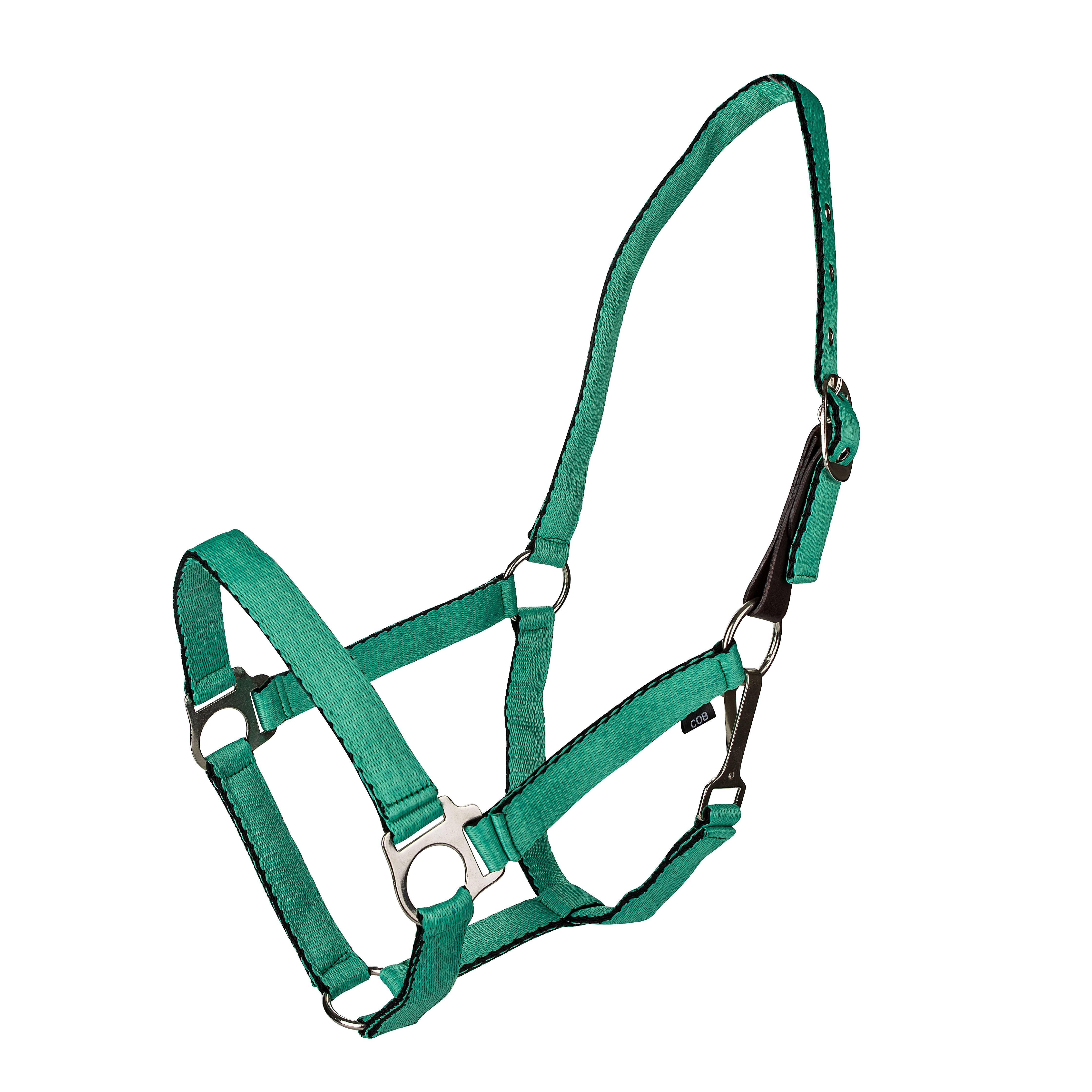 401119-TURQUOISE-FOAL Gatsby Ultra Soft Nylon Safety Halter sku 401119-TURQUOISE-FOAL