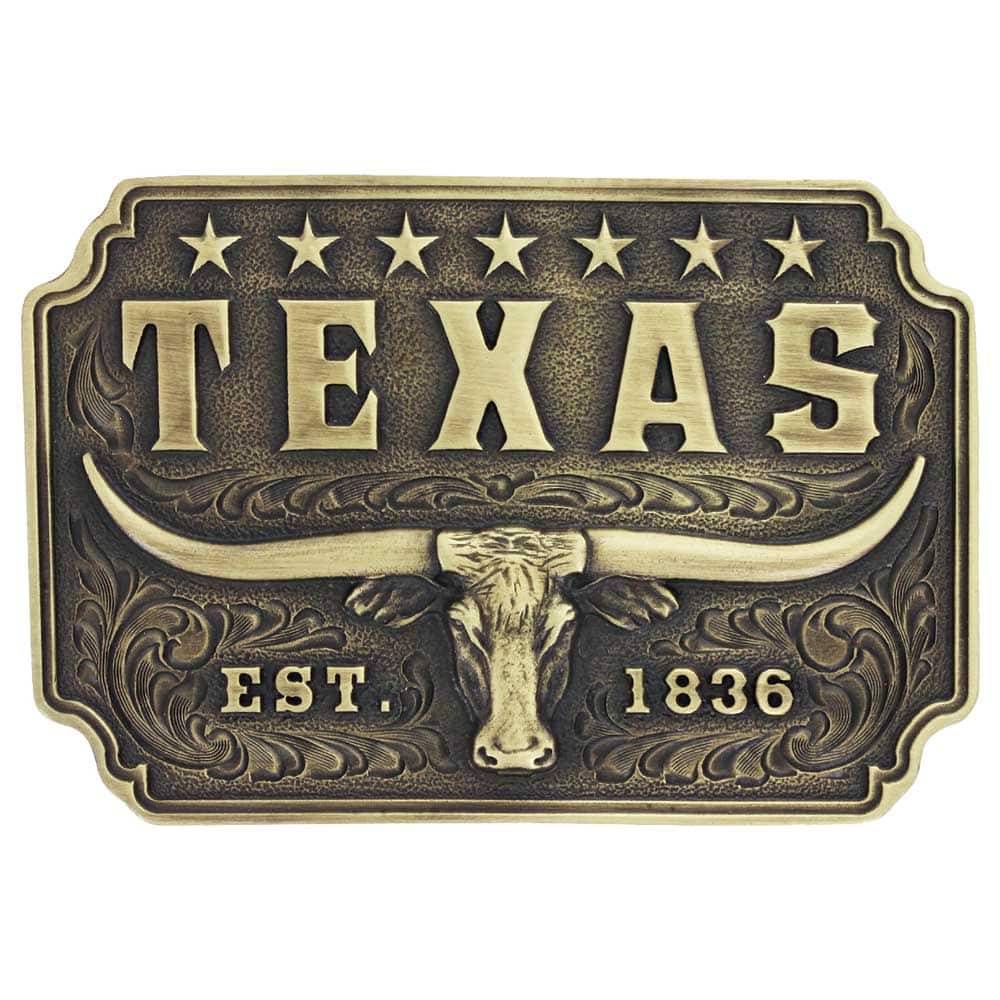 Montana Silversmiths Classic Texas Longhorn Attitude Buckle