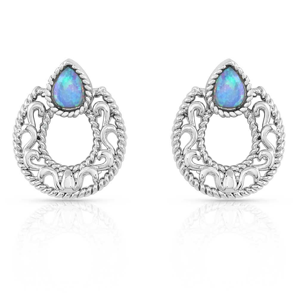 Montana Silversmiths Roped In Horseshoe Earrings