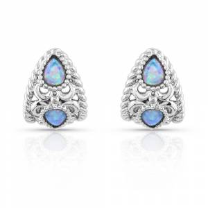 Montana Silversmiths Stunning & Stacked Silver Filigree Earrings