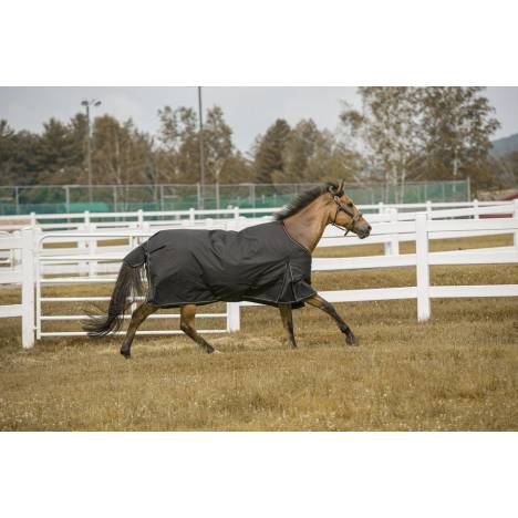 TuffRider 1200D Comfy Winter Medium Weight Turnout Blanket Standard Neck 200 grams