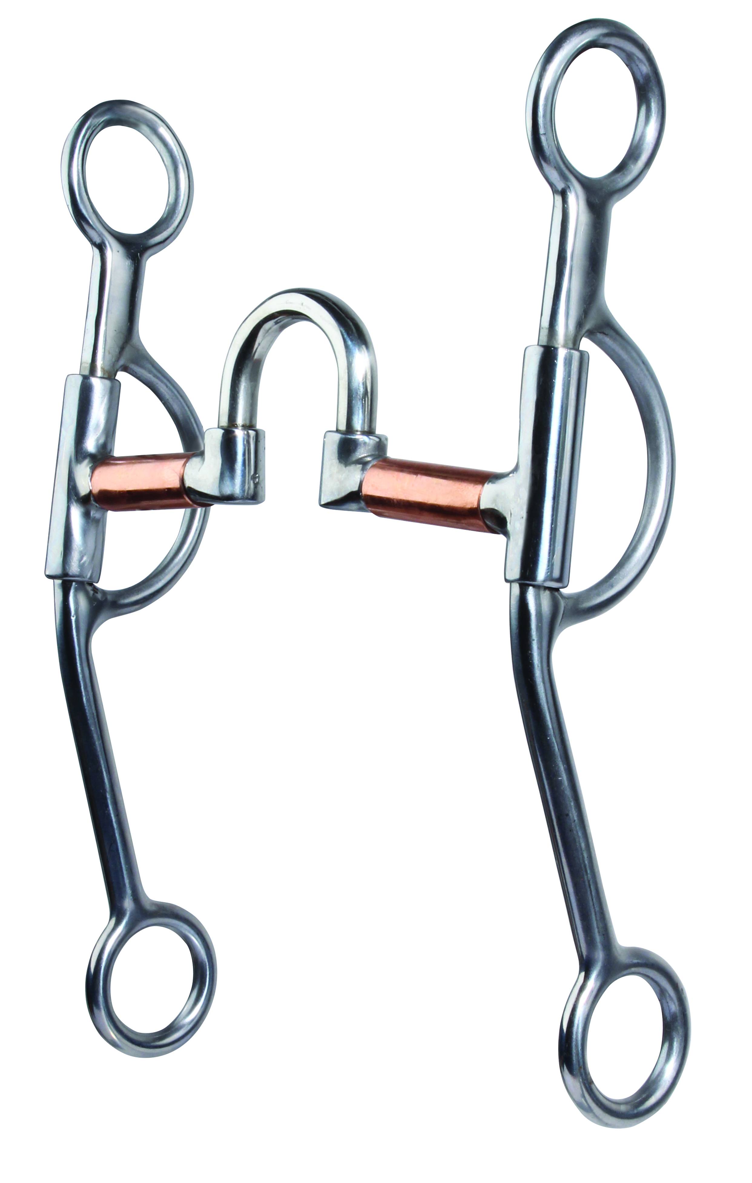 Professionals Choice Loomis Correction