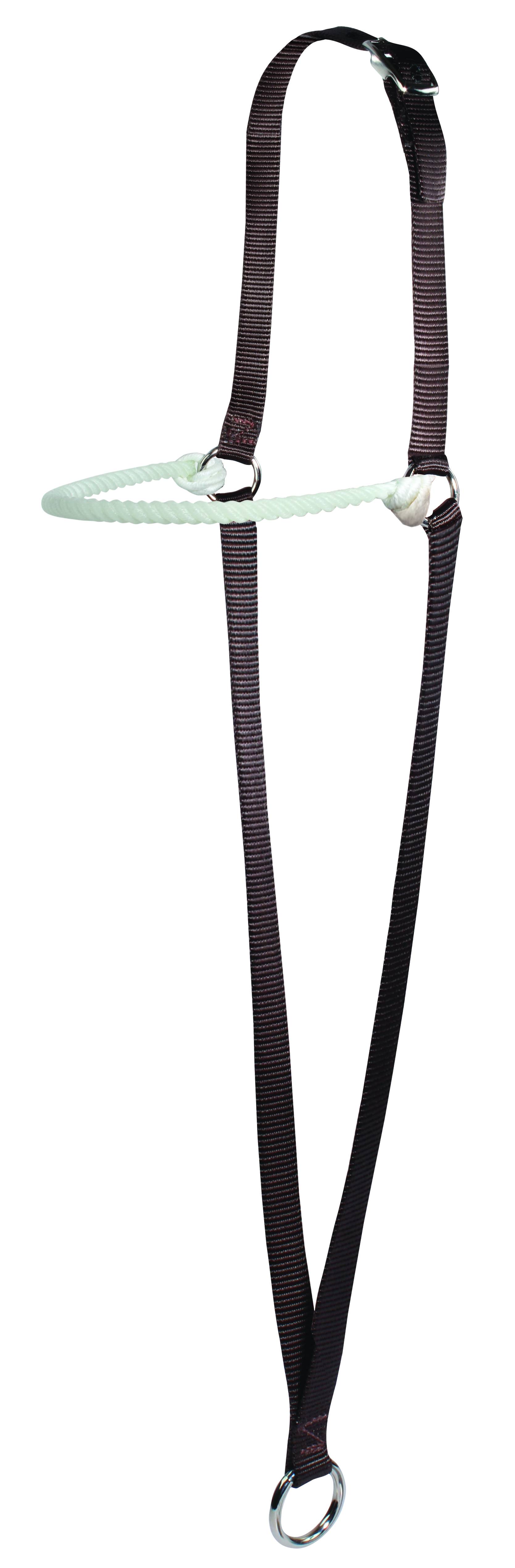 Professionals Choice War Bonnet Web Lariat Brow