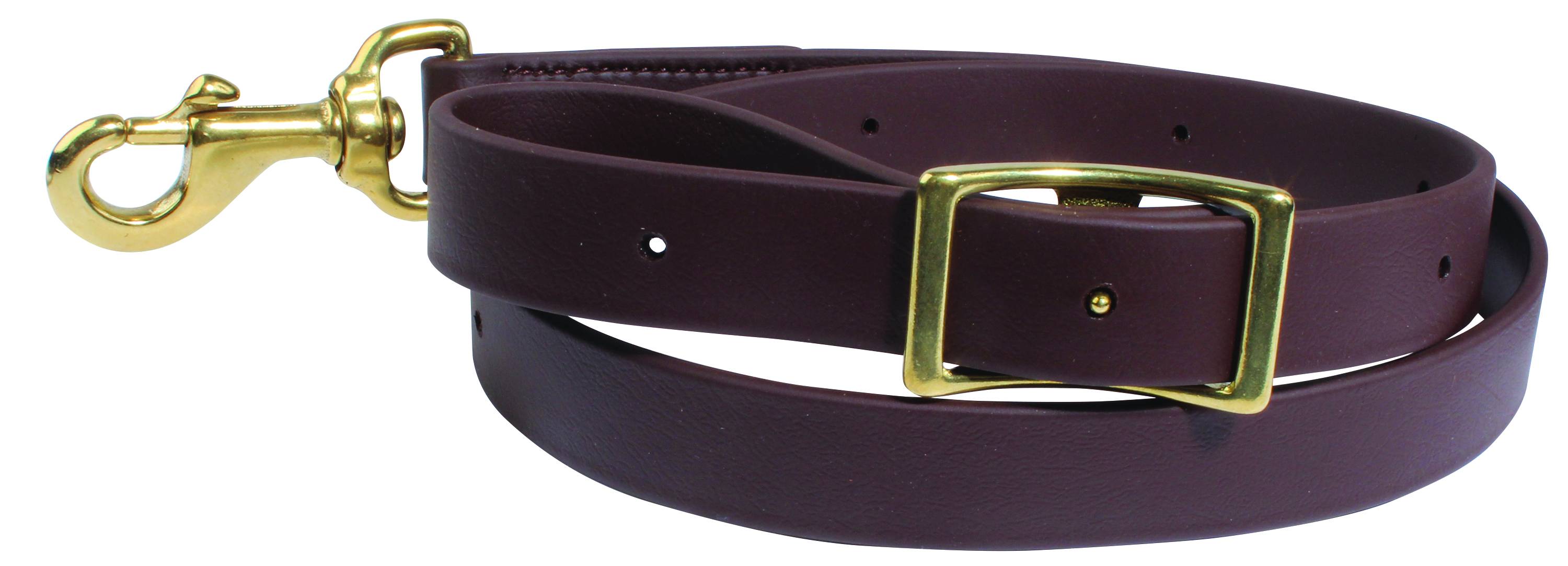 Professionals Choice Biothane 1" Tie Down