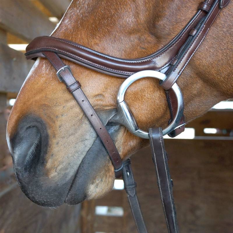 Nunn Finer Aforma Flash Bridle - Picture 2 of 2