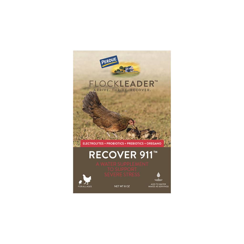 Perdue Flockleader Recover 911 Poultry Supplement