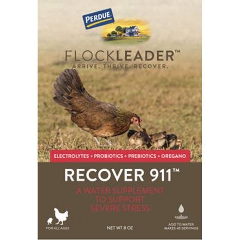 Perdue Flockleader Recover 911 Poultry Supplement