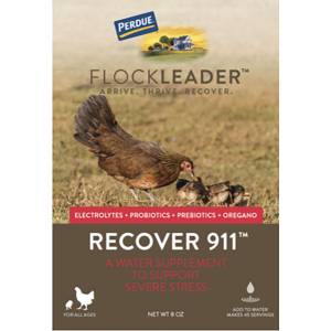 Perdue Flockleader Recover 911 Poultry Supplement