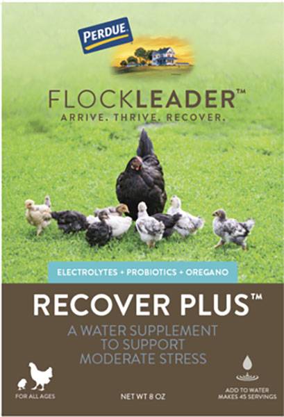 Perdue Flockleader Recover Plus Poultry Supplement