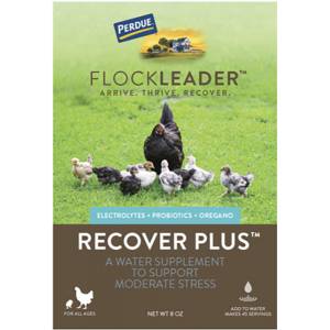 Perdue Flockleader Recover Plus Poultry Supplement