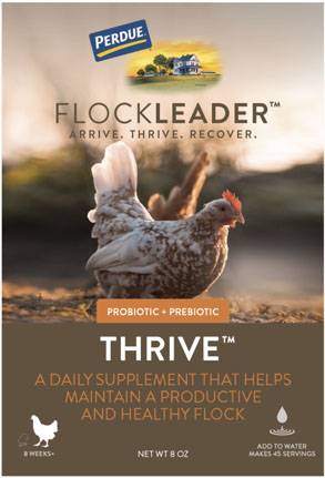 Perdue Flockleader Thrive Poultry Supplement