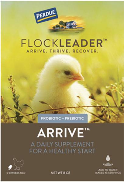 Perdue Flockleader Arrive Poultry Supplement