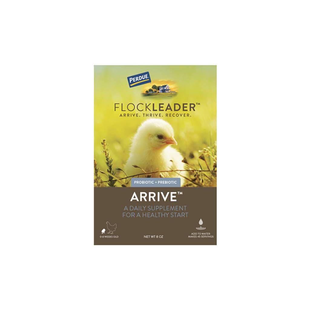 Perdue Flockleader Arrive Poultry Supplement