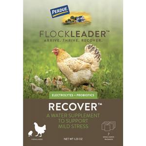 Perdue Flockleader Recover Poultry Supplement