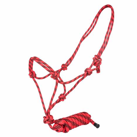 MEMORIAL DAY BOGO: Tabelo Classic Cowboy Halter with Lead - YOUR PRICE FOR 2