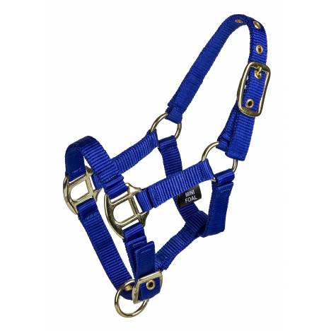 MEMORIAL DAY BOGO: Gatsby 3/4" 2-ply Nylon Mini Halter with Adjustable Chin - YOUR PRICE FOR 2