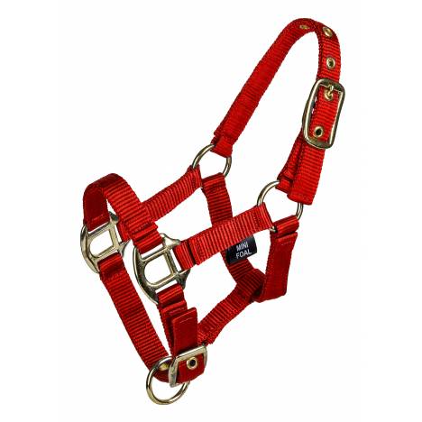 MEMORIAL DAY BOGO: Gatsby 3/4" 2-ply Nylon Mini Halter with Adjustable Chin - YOUR PRICE FOR 2