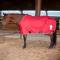 Classic Equine Classic Stable Sheet with Open Front
