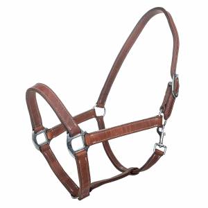 MEMORIAL DAY BOGO: Tabelo Leather Halter with  Snap - YOUR PRICE FOR 2