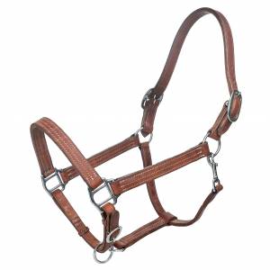 MEMORIAL DAY BOGO: Tabelo Leather Halter with  Adjustable Chin & Snap - YOUR PRICE FOR 2