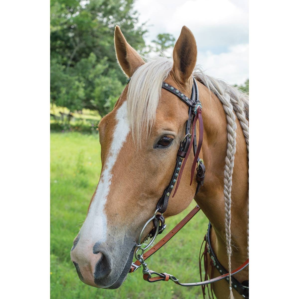 Circle Y Copper Patina Spots Browband Headstall for sale online 
