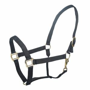 Tabelo Nylon Halter with  Snap - Black - Weanling