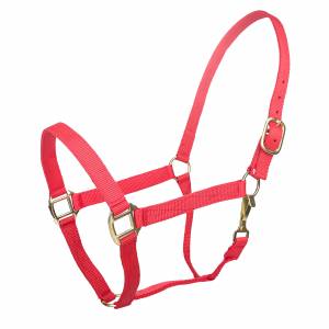 Tabelo Nylon Halter with  Snap - Red - Weanling