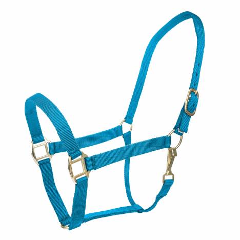 MEMORIAL DAY BOGO: Tabelo Nylon Halter with Snap - YOUR PRICE FOR 2